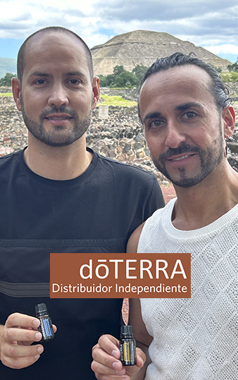 mejora bienestar Hogar con Arte aceites esenciales
