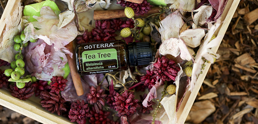 aceite esencial dōTERRA™ Arbol de te