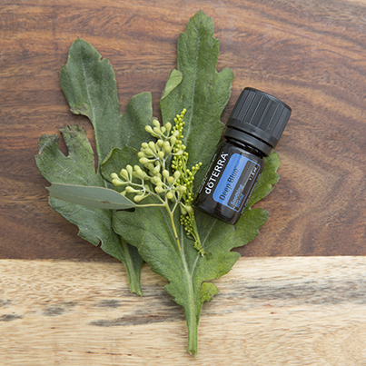 aceite esencial dōTERRA™ DeepBlue