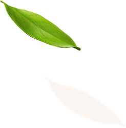 bienestar aceites esenciales dōTERRA™ Hogar con Arte