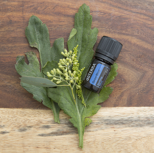 aceite esencial dōTERRA™ DeepBlue