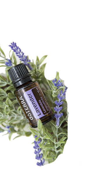  Hogar con Arte dōTERRA™ Aceites esenciales mejoran salud y bienestar
