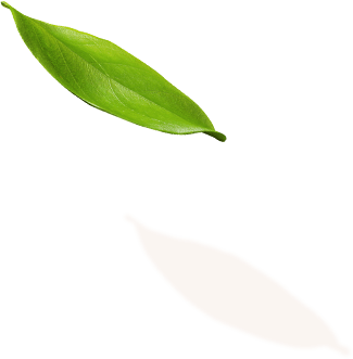 dōTERRA™ Hogar con Arte aceites esenciales