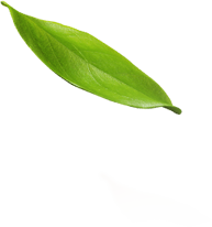 dōTERRA™ Aceites esenciales mejoran salud