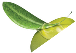 Aceites esenciales dōTERRA™ Hogar con Arte